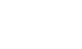 ALDI – Kunde der Social Media Pirates