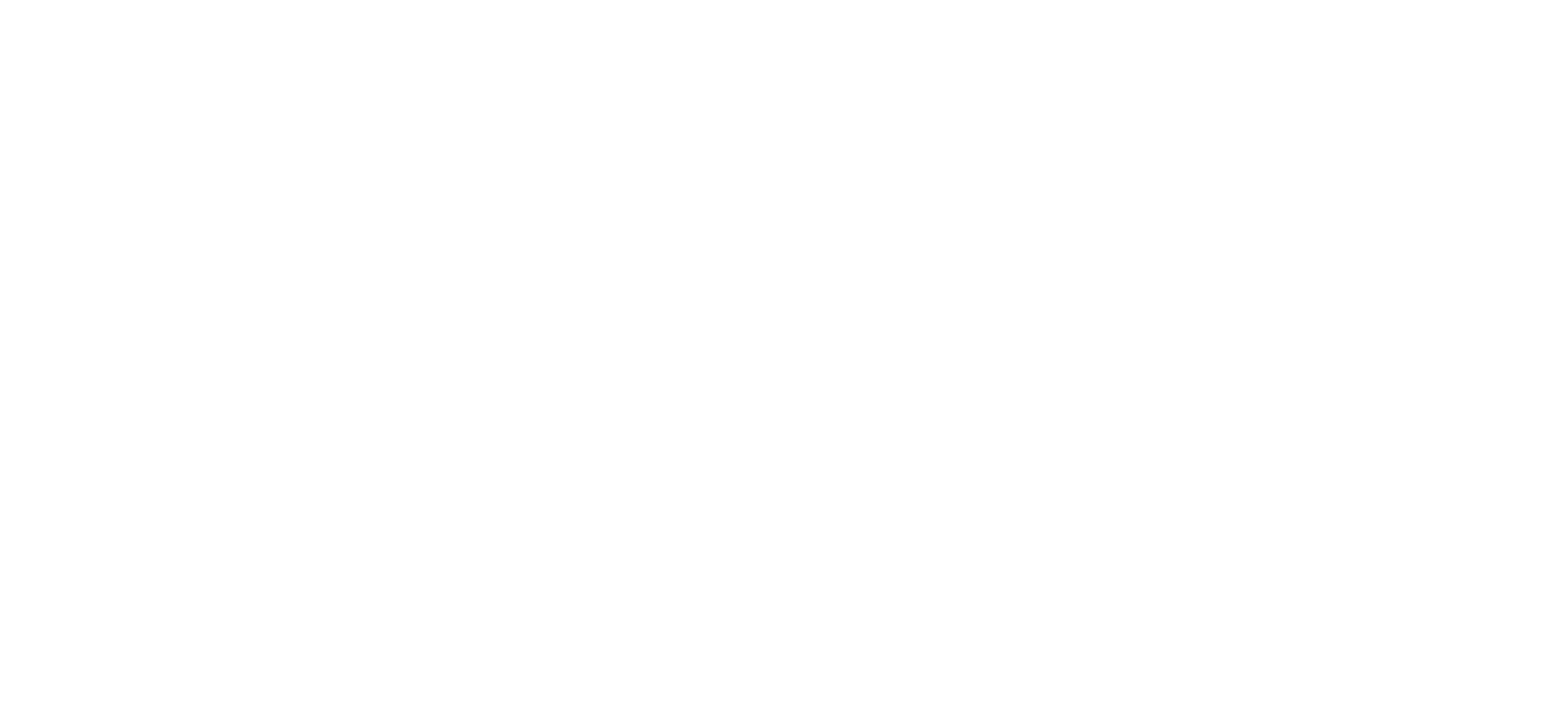 Social Media Piraten