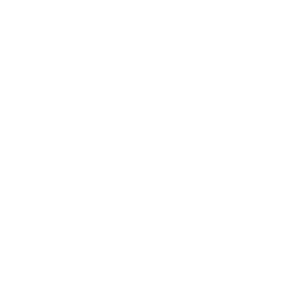 Logo_Studio_100