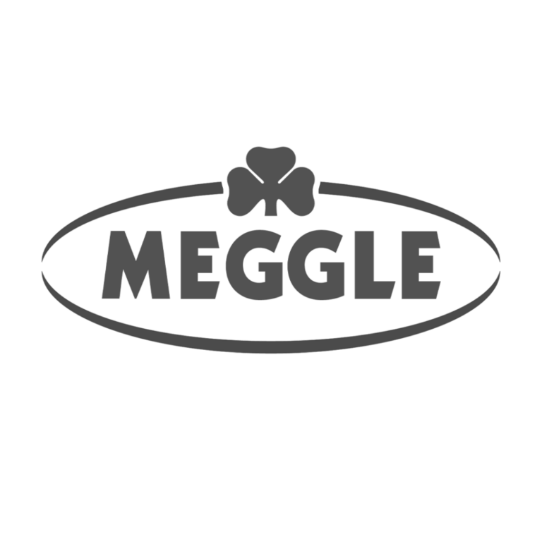 Logo_Meggle-1024x1024-sw